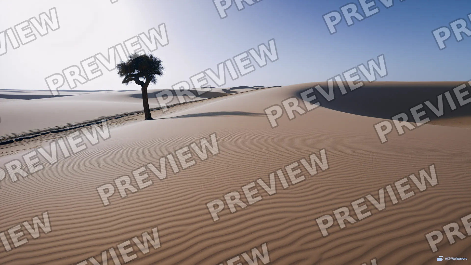 Sinuous Dune Horizon — Desert 4K wallpaper