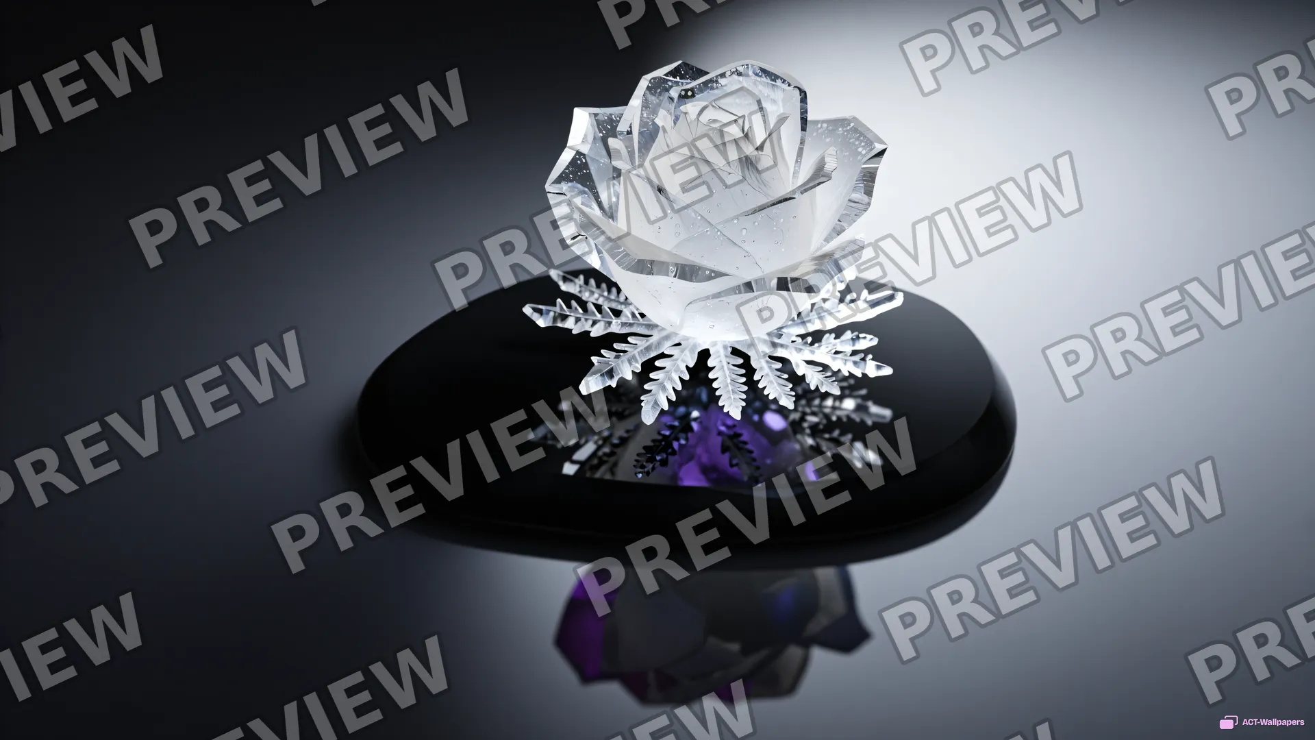 Quartz Rose on Obsidian — Crystal botanicals 4K wallpaper