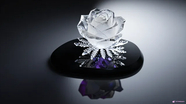 Quartz Rose on Obsidian — Crystal botanicals 4K wallpaper