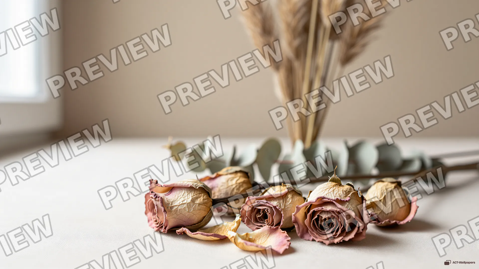 Dried Botanical Still Life — Dried flower arrangements 4K wallpaper