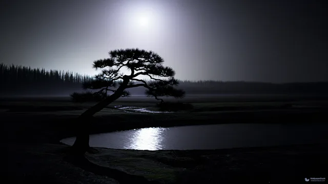 Midnight Pine Reflection — Layered silhouettes 4K wallpaper