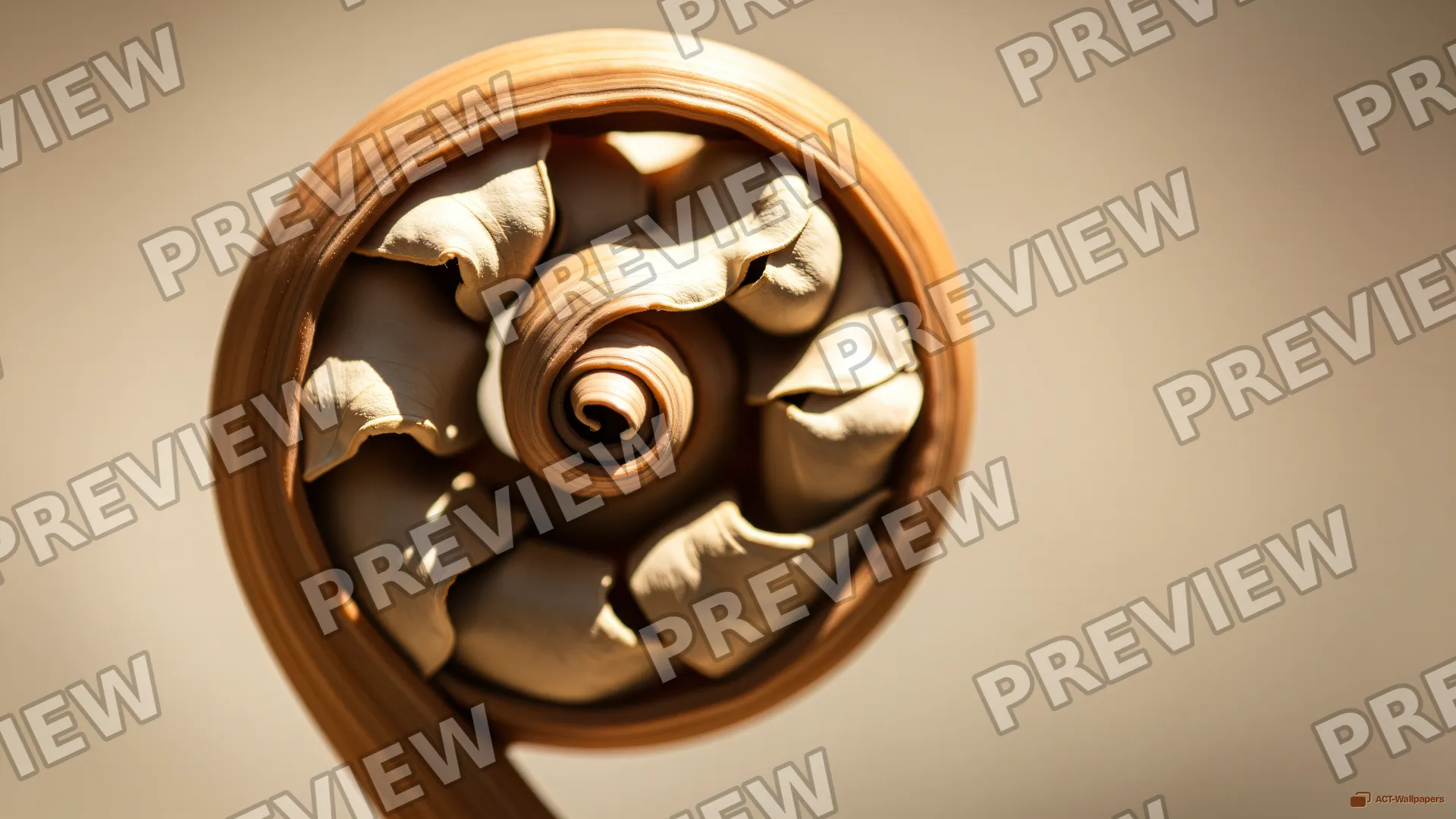 Desiccated Fern Coil — Dried botanicals 4K wallpaper