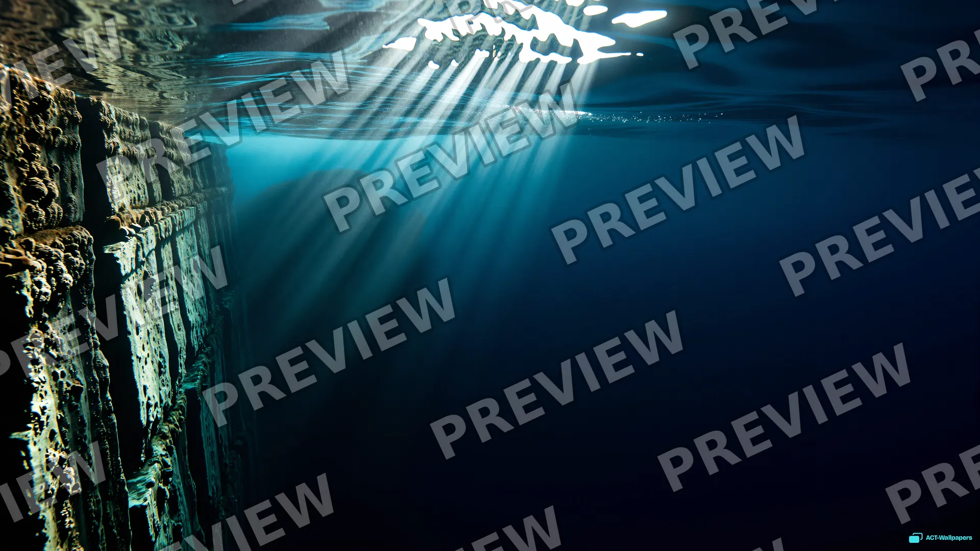 Reef Light Shaft — Underwater 4K wallpaper