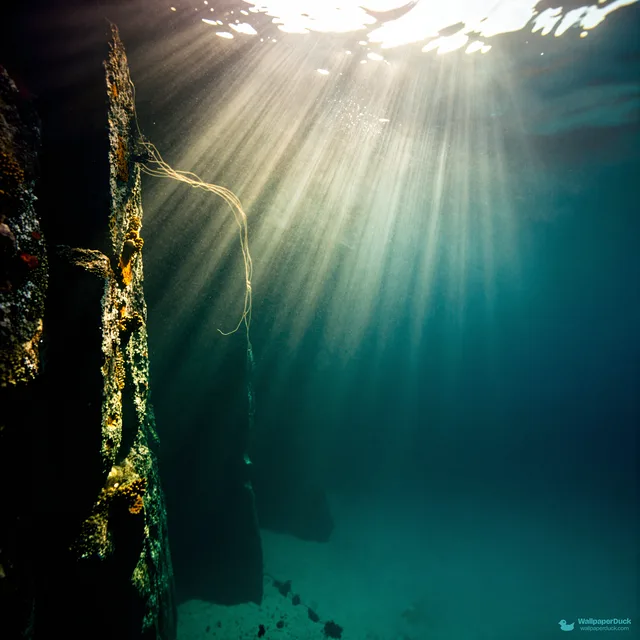 Reef Light Shaft — Underwater 4K wallpaper