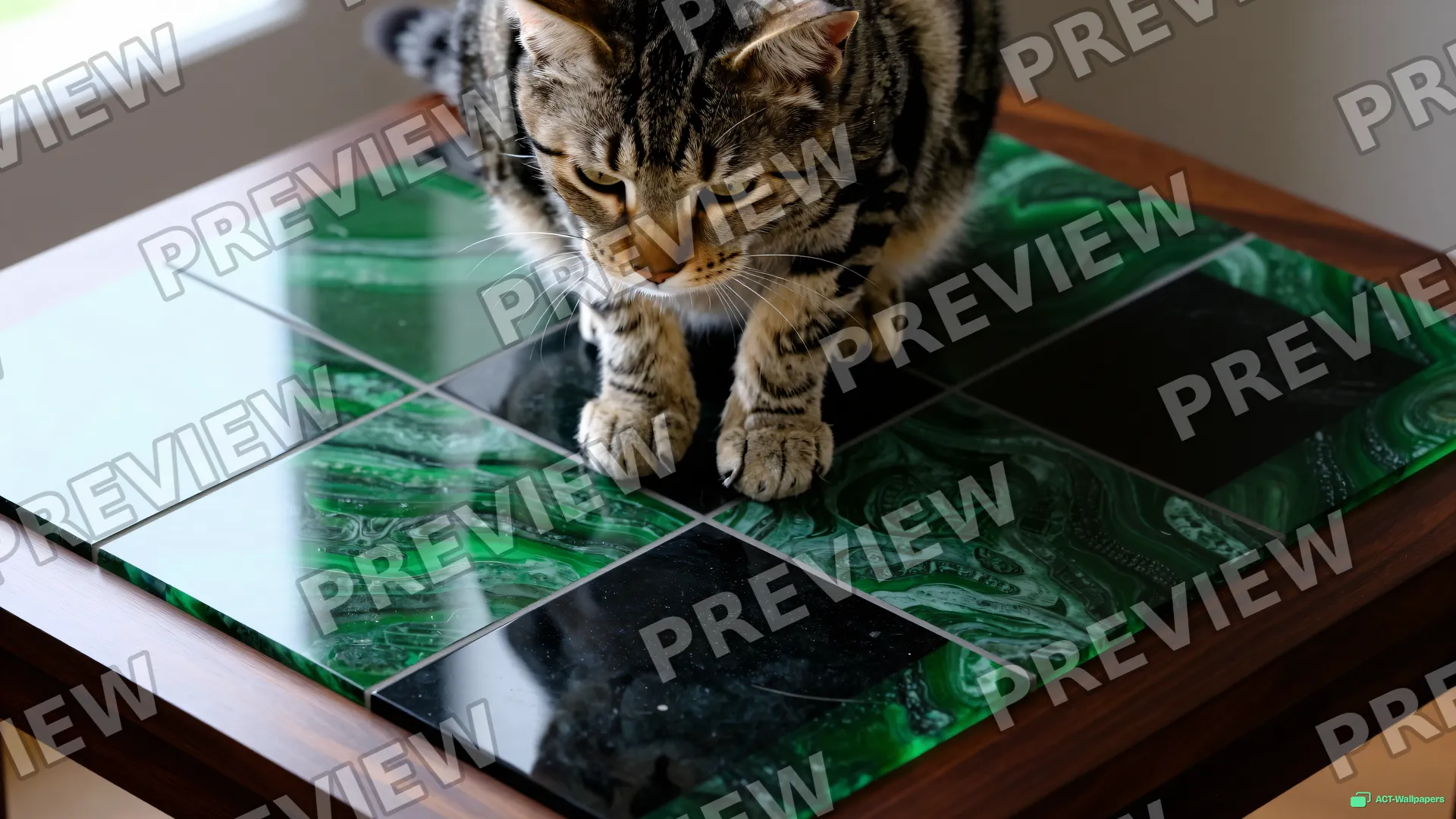 Tabby on Obsidian Jaguar — Maya Mozaik Kedi 4K wallpaper