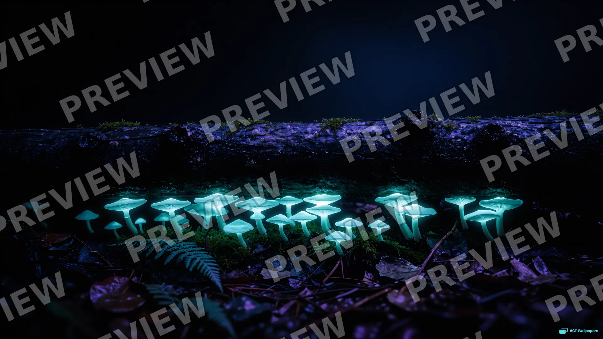 Forest Fungal Glow — Bioluminescence 4K wallpaper