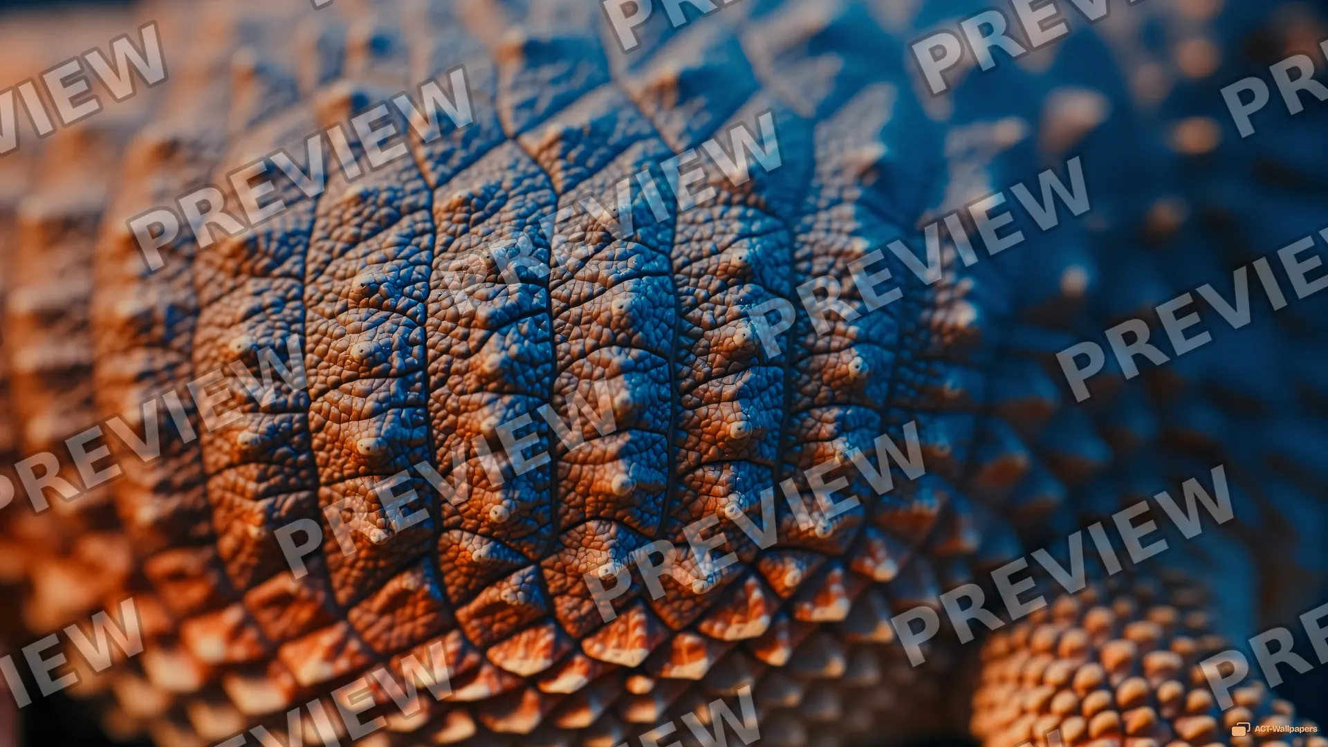 Bearded Dragon Scale Texture — Lizard scales 4K wallpaper