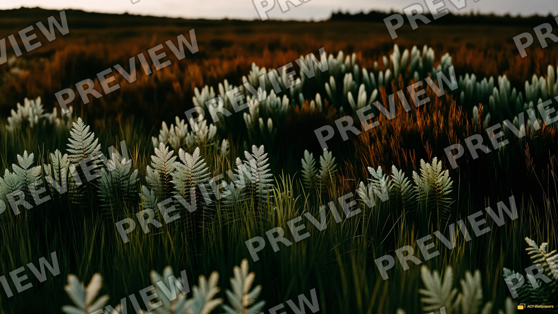 Sage Meadow Dusk — Sage atmosphere 4K wallpaper