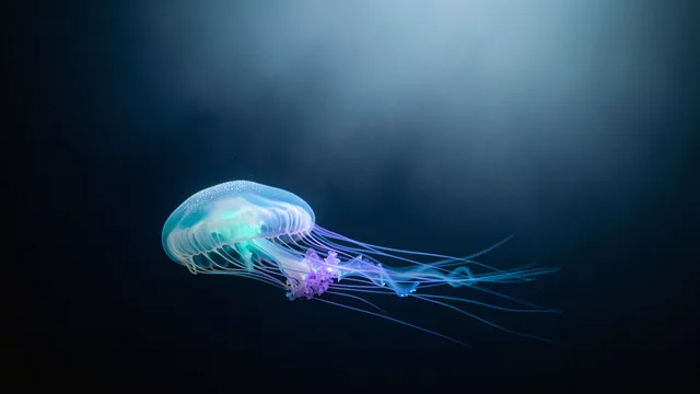 Abyssal Drift — Bioluminescence 4K wallpaper