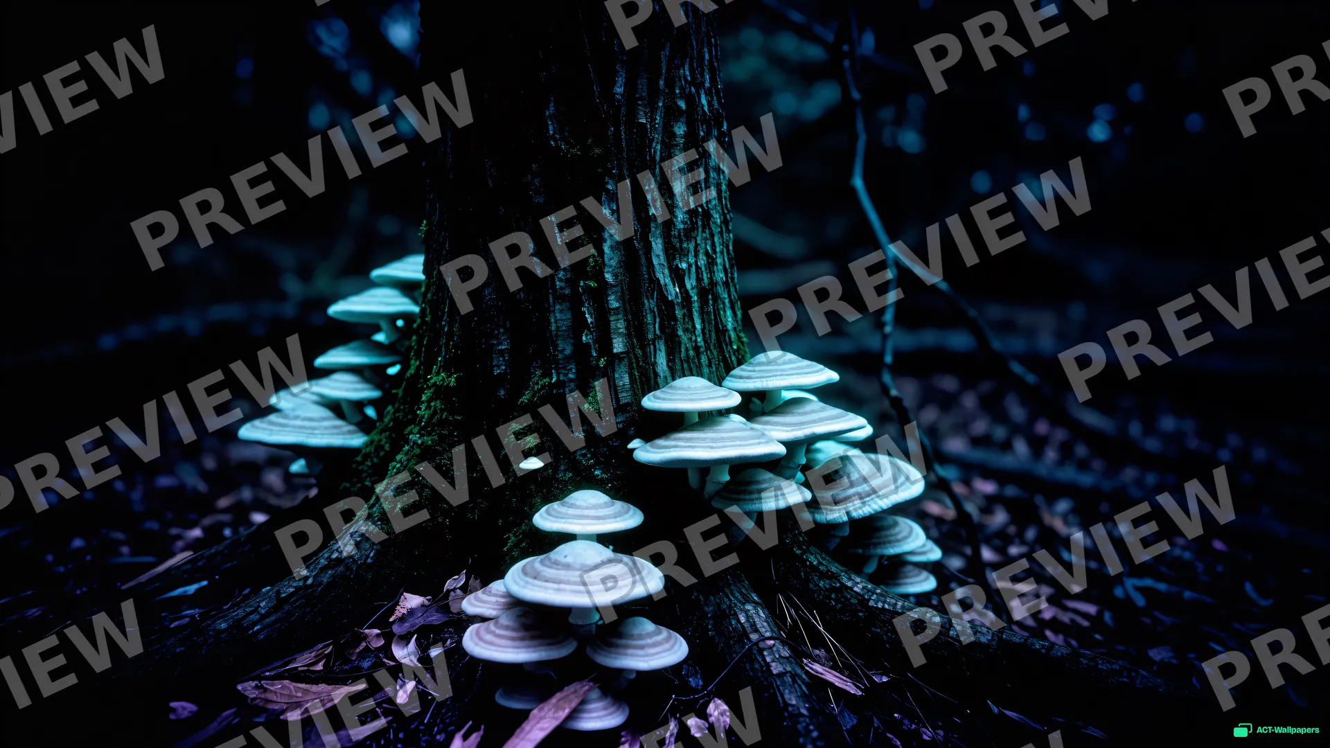 Forest Fungal Halo — Bioluminescence 4K wallpaper