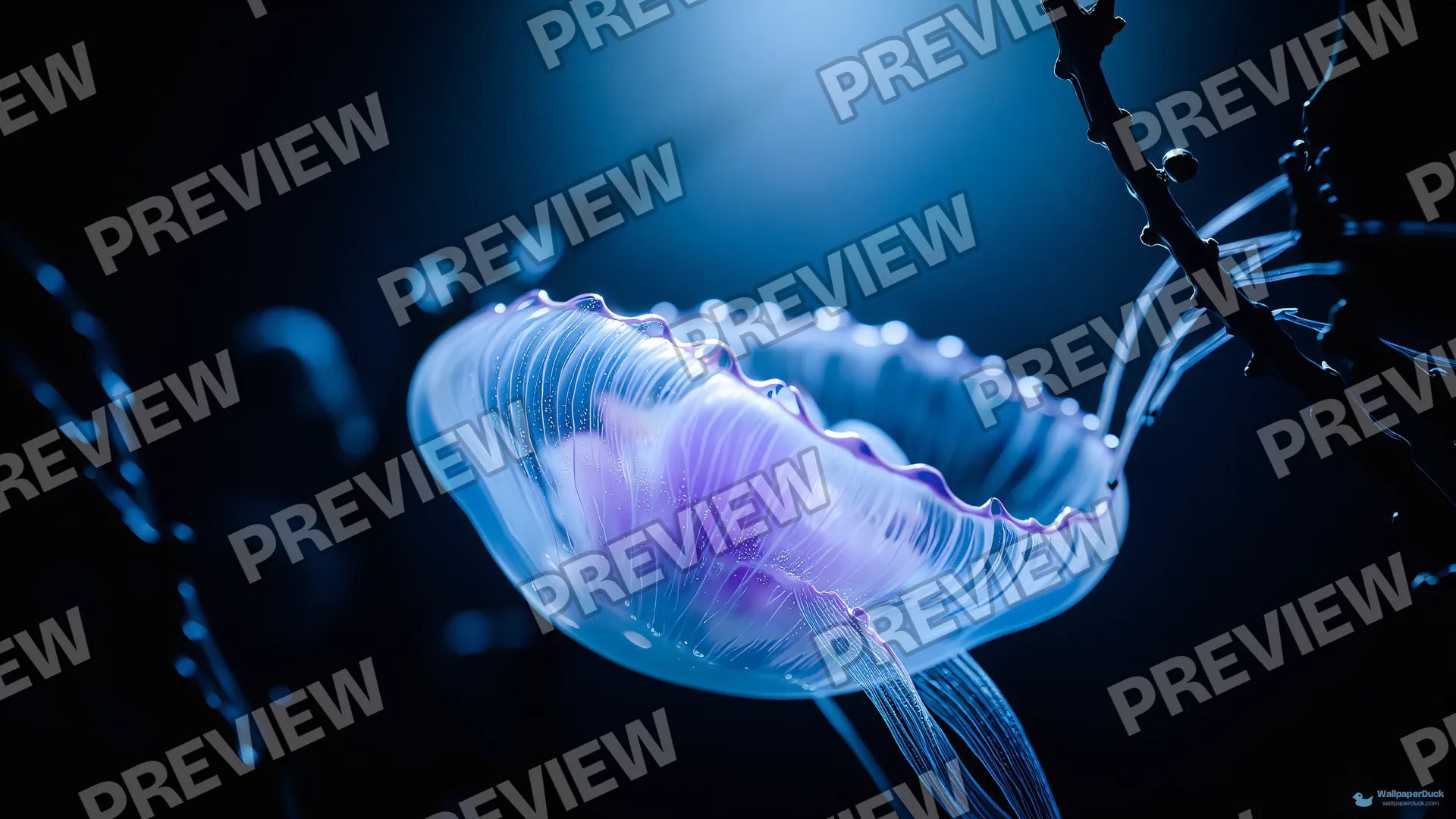 Violet Pulse in Deep Water — Bioluminescence 4K wallpaper