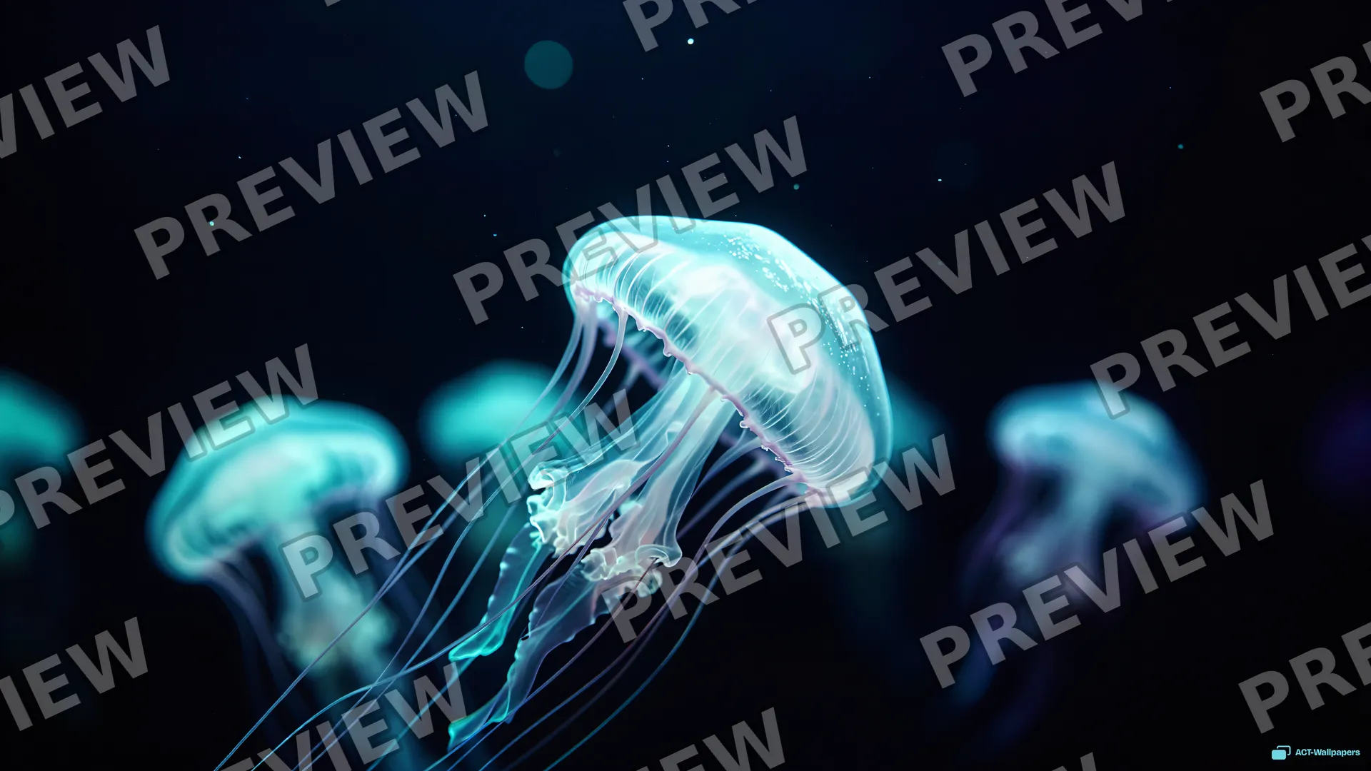 Abyssal Pulse — Bioluminescence 4K wallpaper