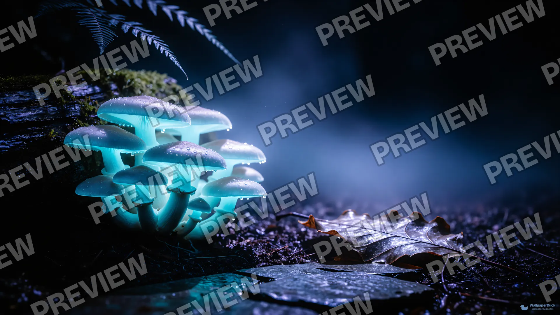 Forest Floor Bioluminescence — Bioluminescence 4K wallpaper