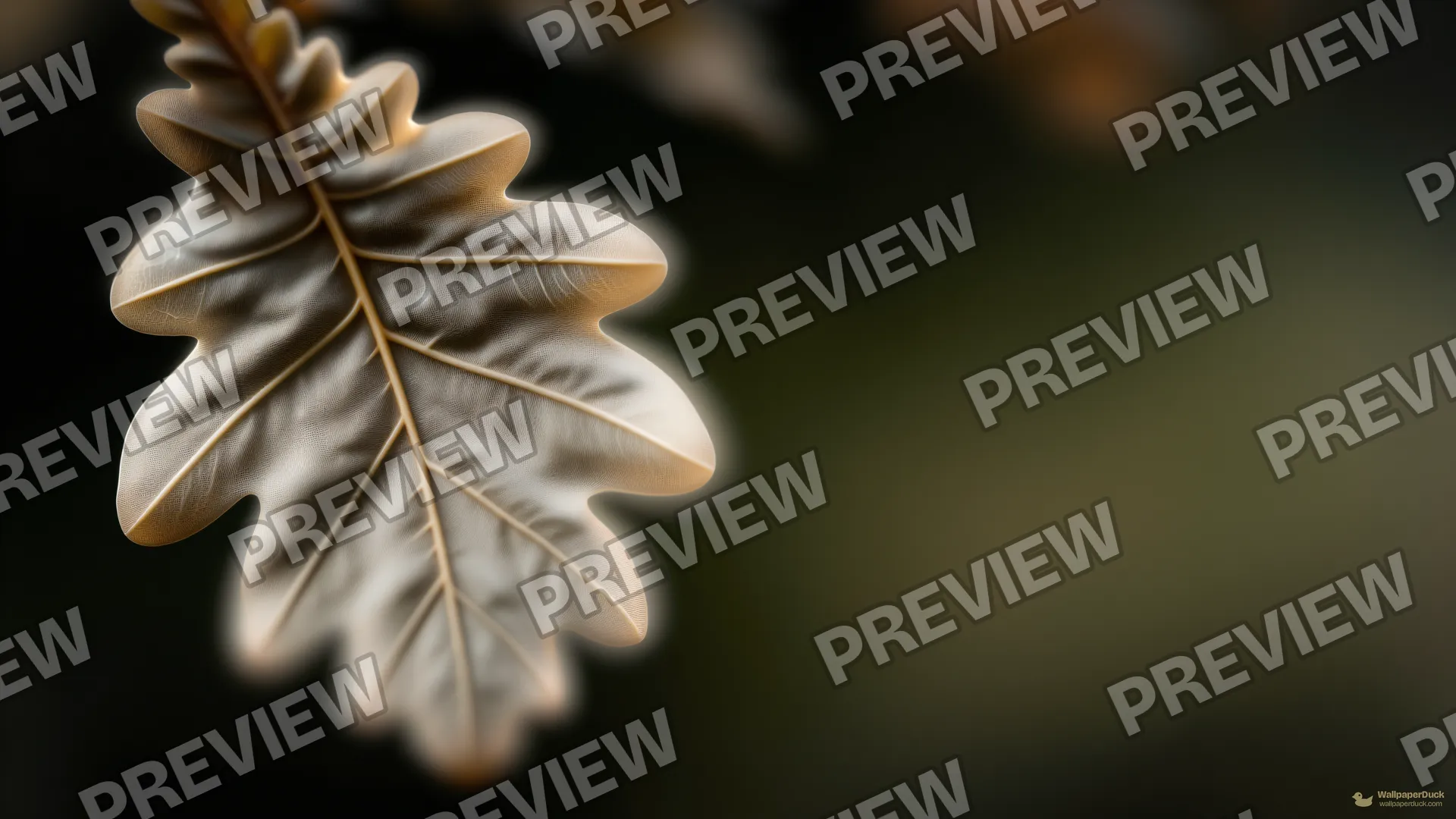 Oak Leaf Vein Detail — Botanical macro 4K wallpaper