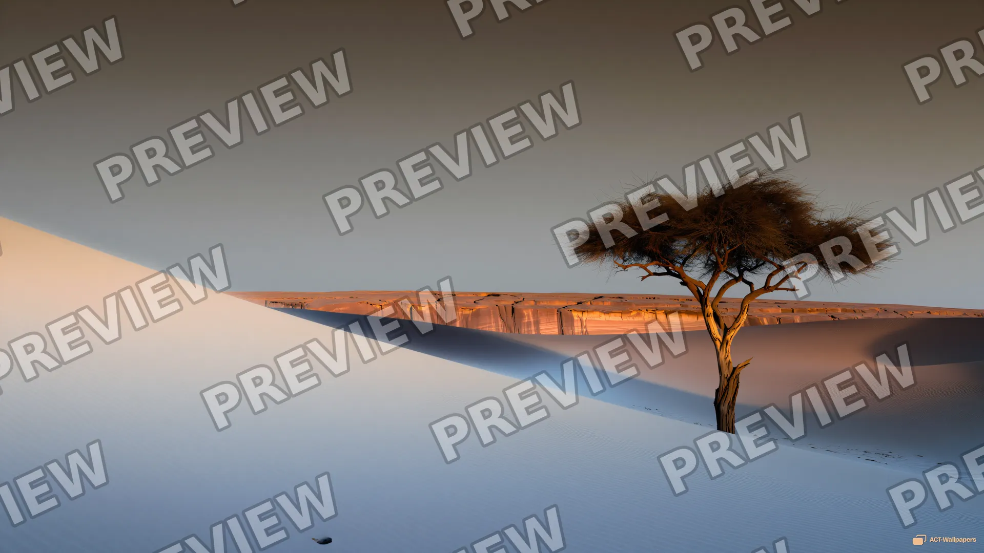 Sinuous Dune Ridge — Desert 4K wallpaper