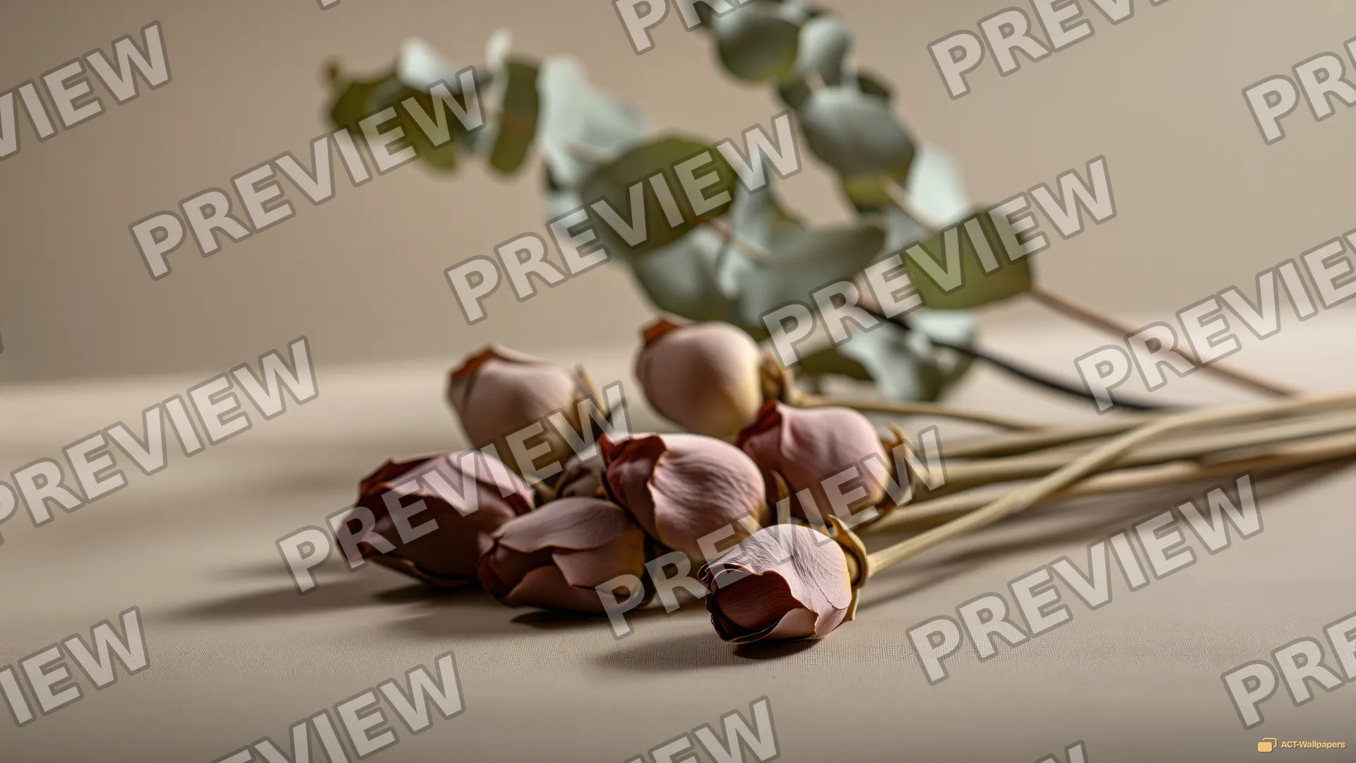 Dried Botanical Still Life — Dried flower arrangements 4K wallpaper