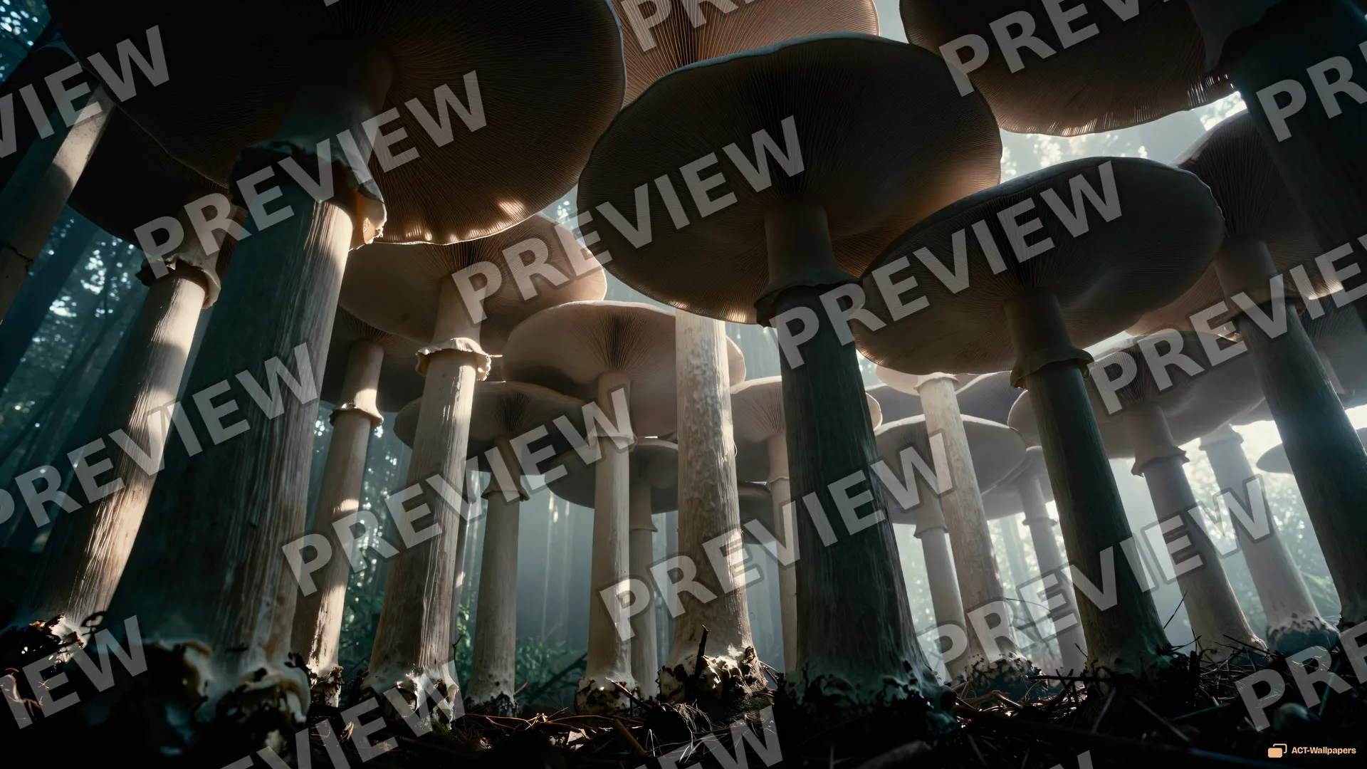 Fungal Cathedral Vault — Mushroom cathedral 4K wallpaper