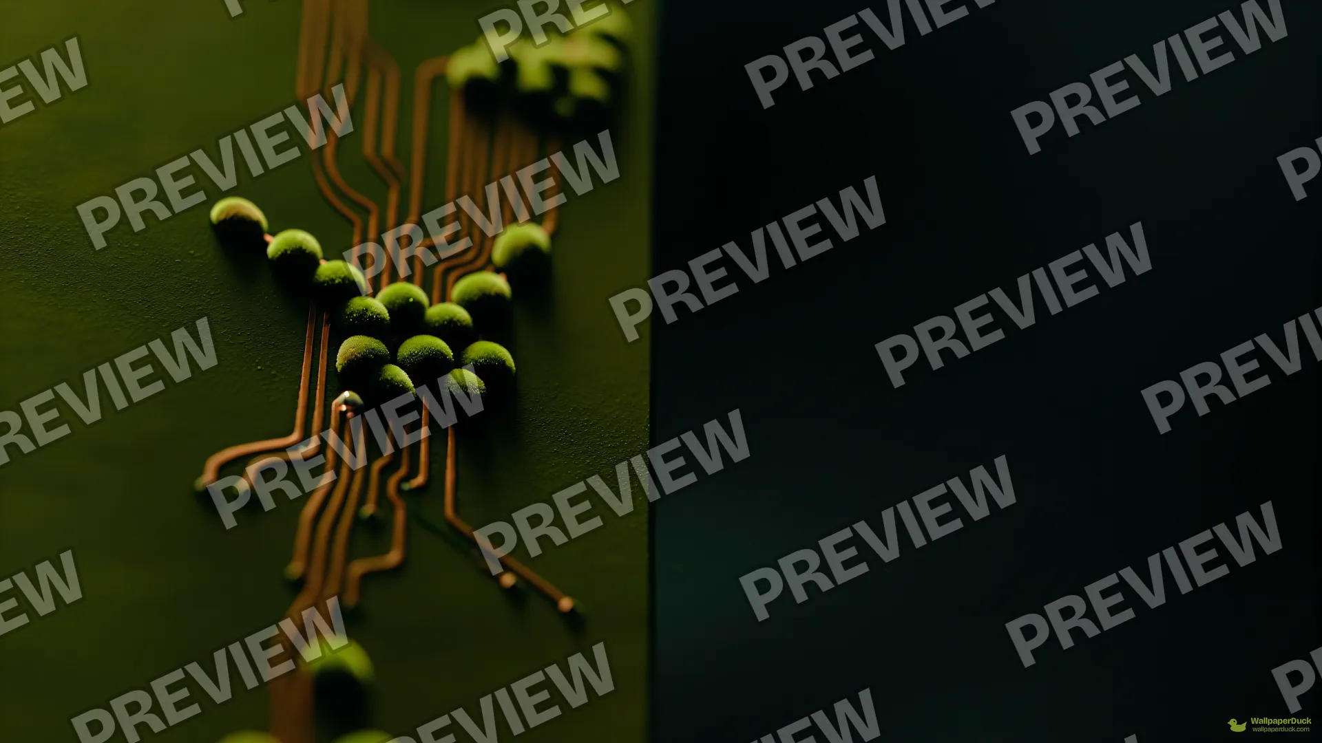 Mycelium Circuit Macro — Botanical macro 4K wallpaper