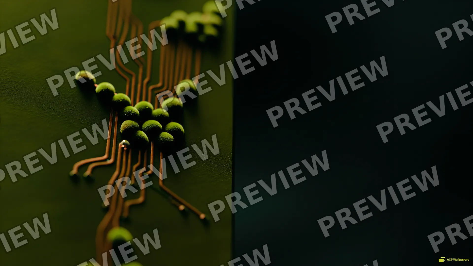 Mycelium Circuit Macro — Botanical macro 4K wallpaper