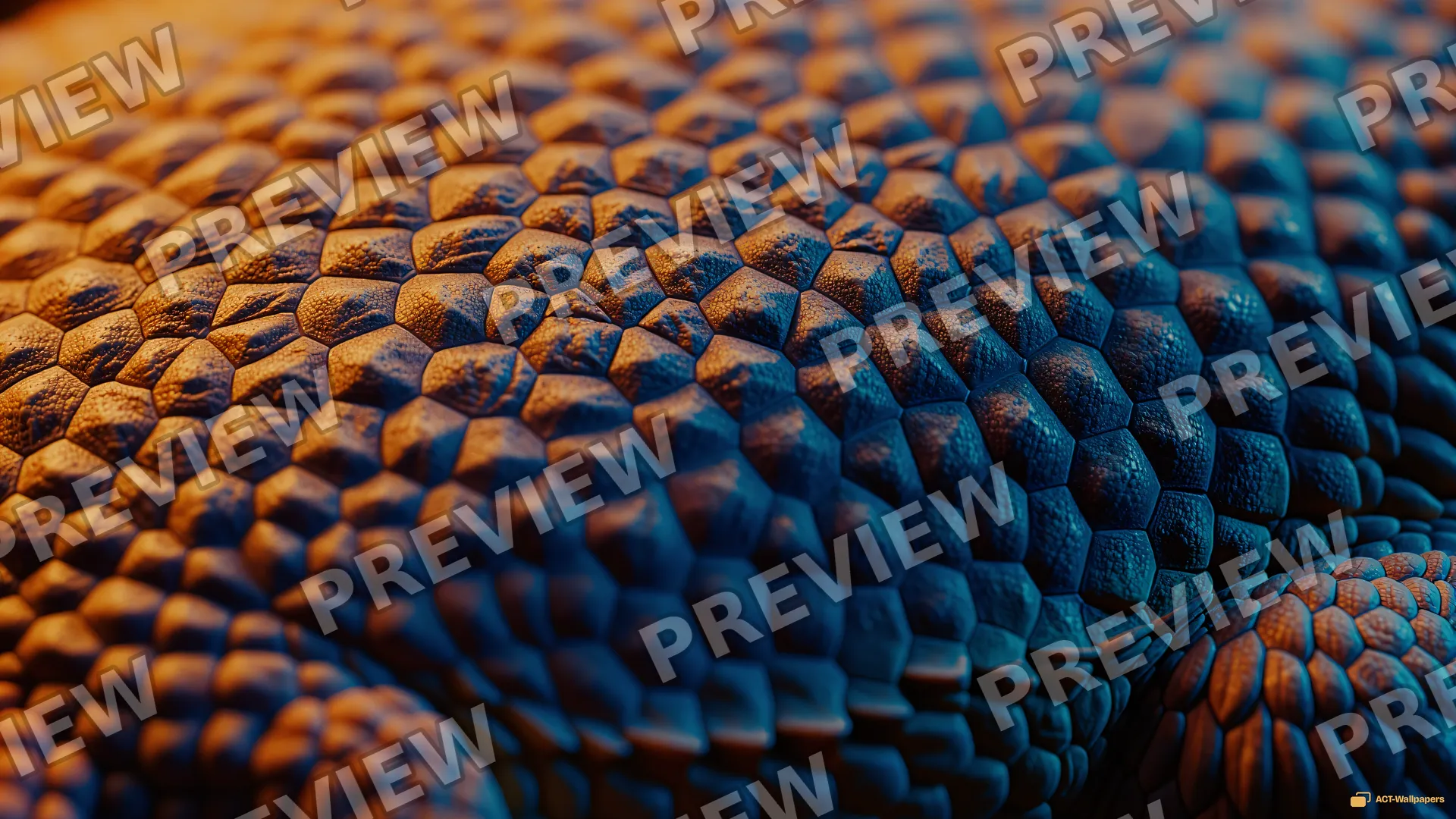 Ventral Scale Macro — Lizard scales 4K wallpaper