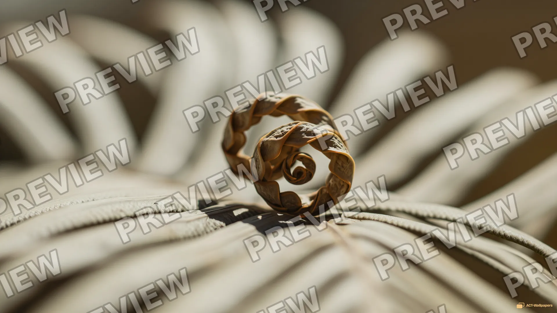Desiccated Fern Fiddlehead — Dried botanicals 4K wallpaper