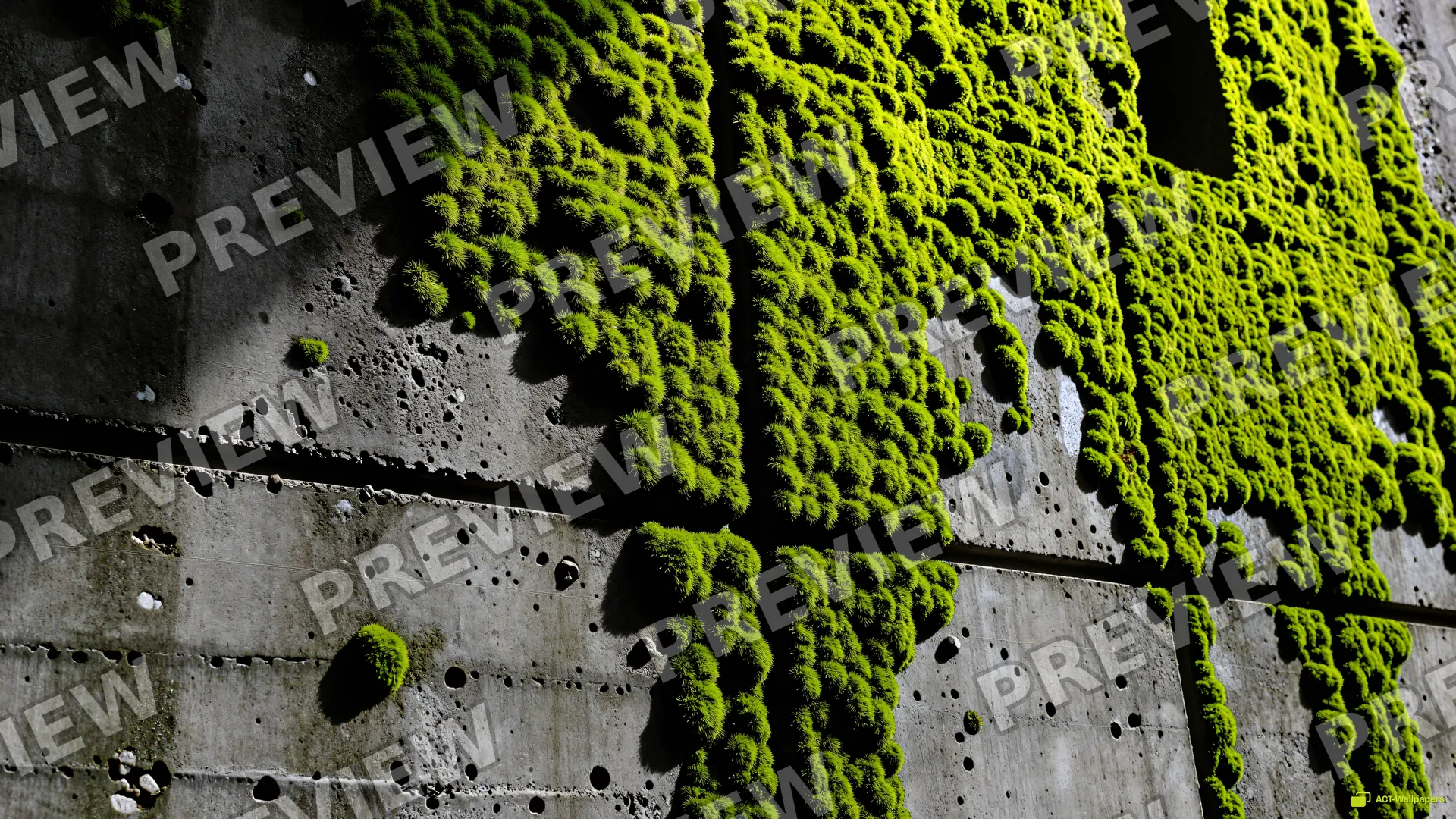 Brutalist Moss Wall — Rustic concrete texture 4K wallpaper