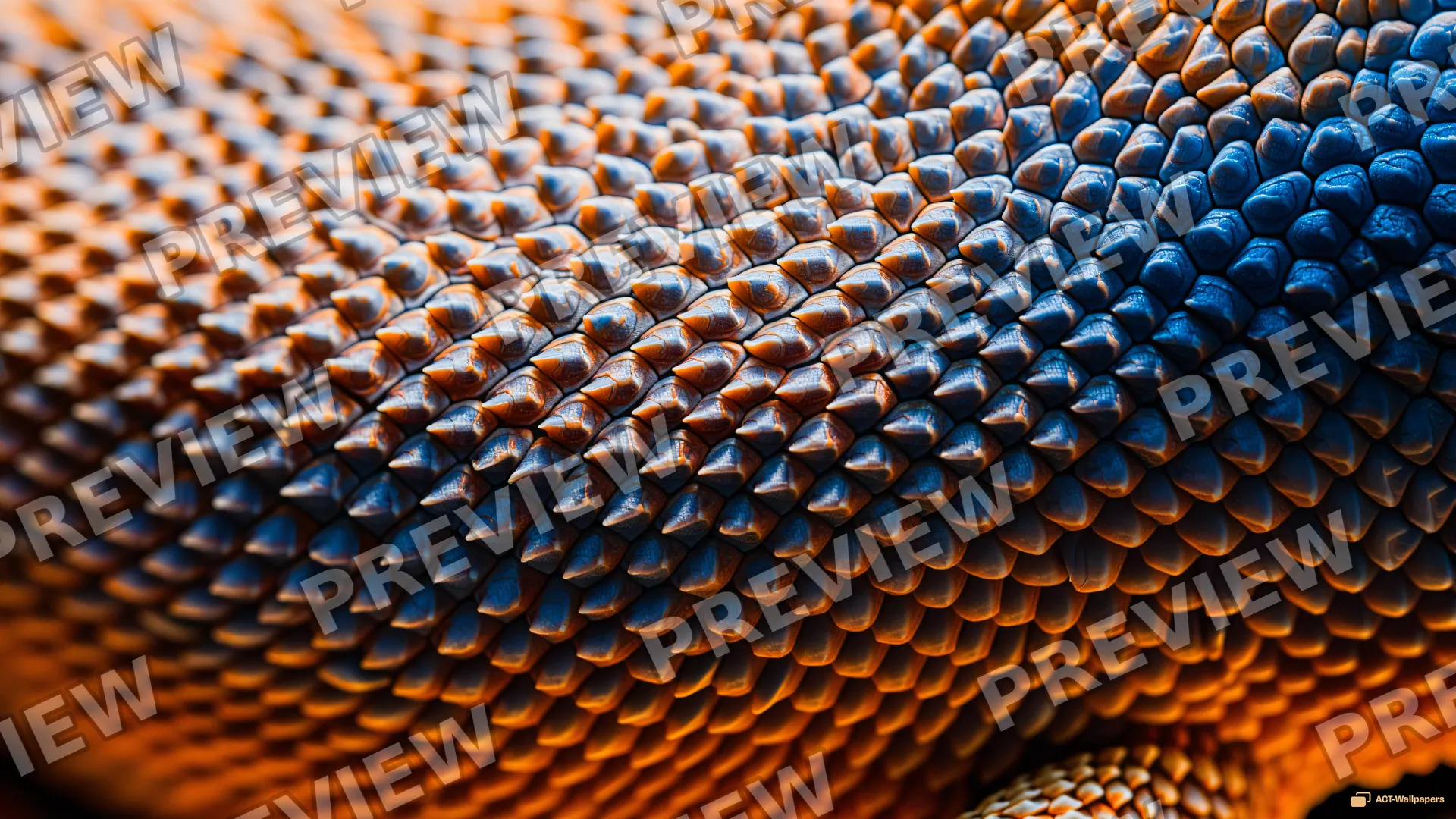 Bearded Dragon Scale Macro — Lizard scales 4K wallpaper