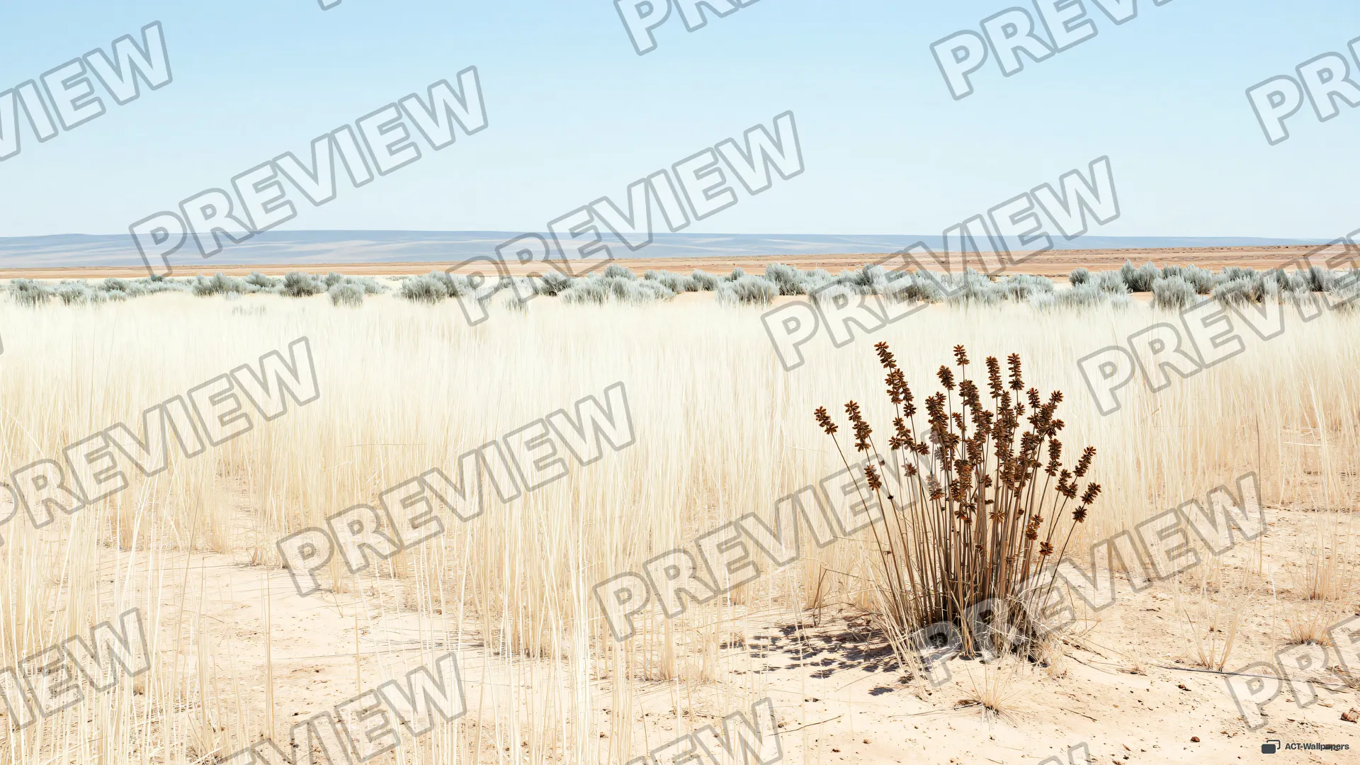 High Summer Bleached Noon — Seasonal palette 4K wallpaper