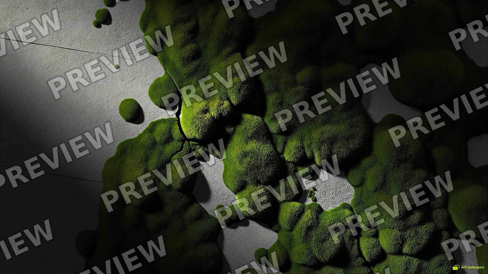 Concrete Moss Texture — Rustic concrete texture 4K wallpaper
