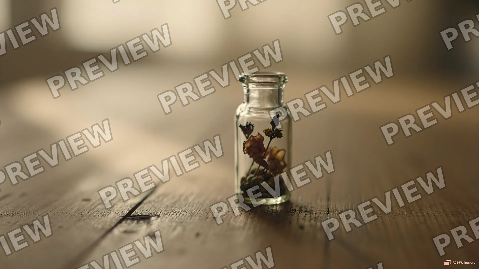 Bottled Quiet Memory — Miniature worlds 4K wallpaper