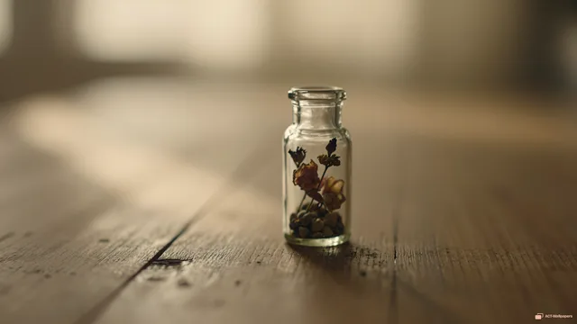 Bottled Quiet Memory — Miniature worlds 4K wallpaper