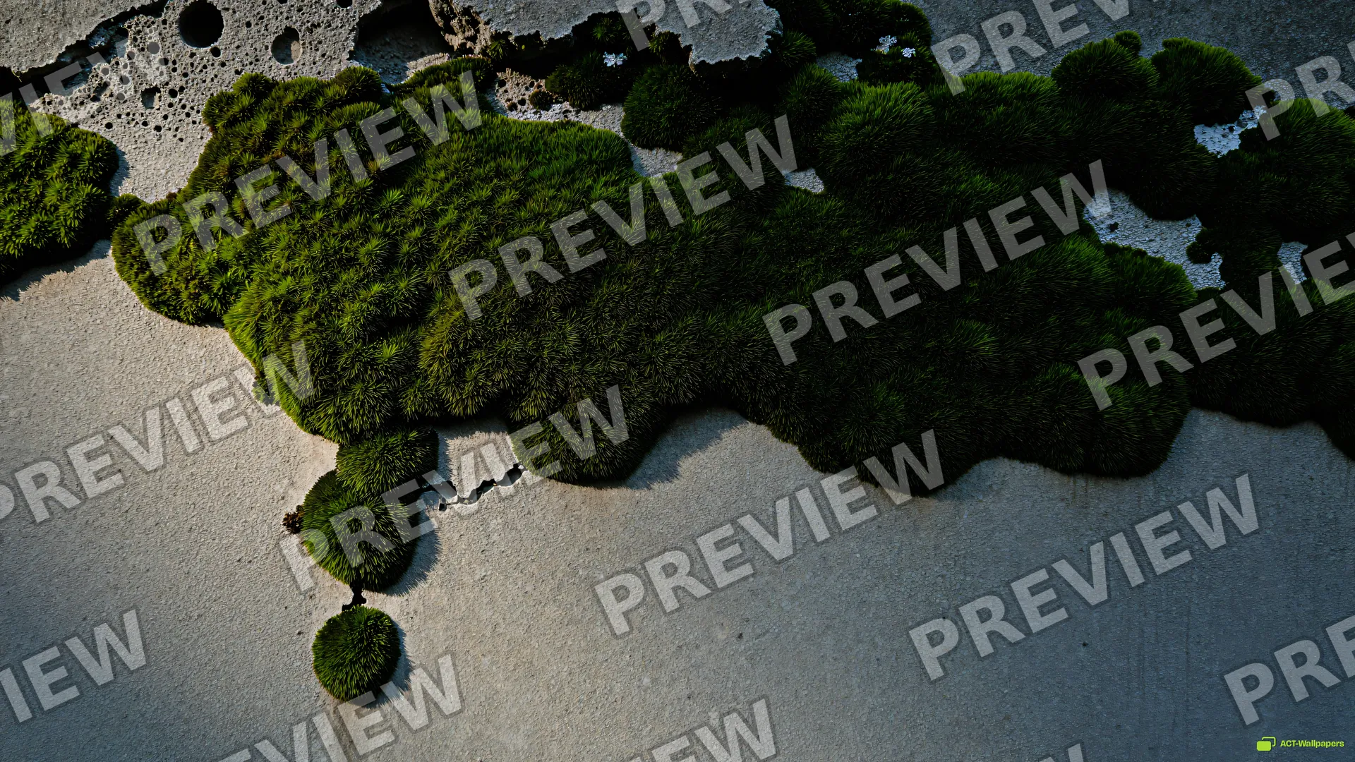 Concrete Moss Macro — Rustic concrete texture 4K wallpaper