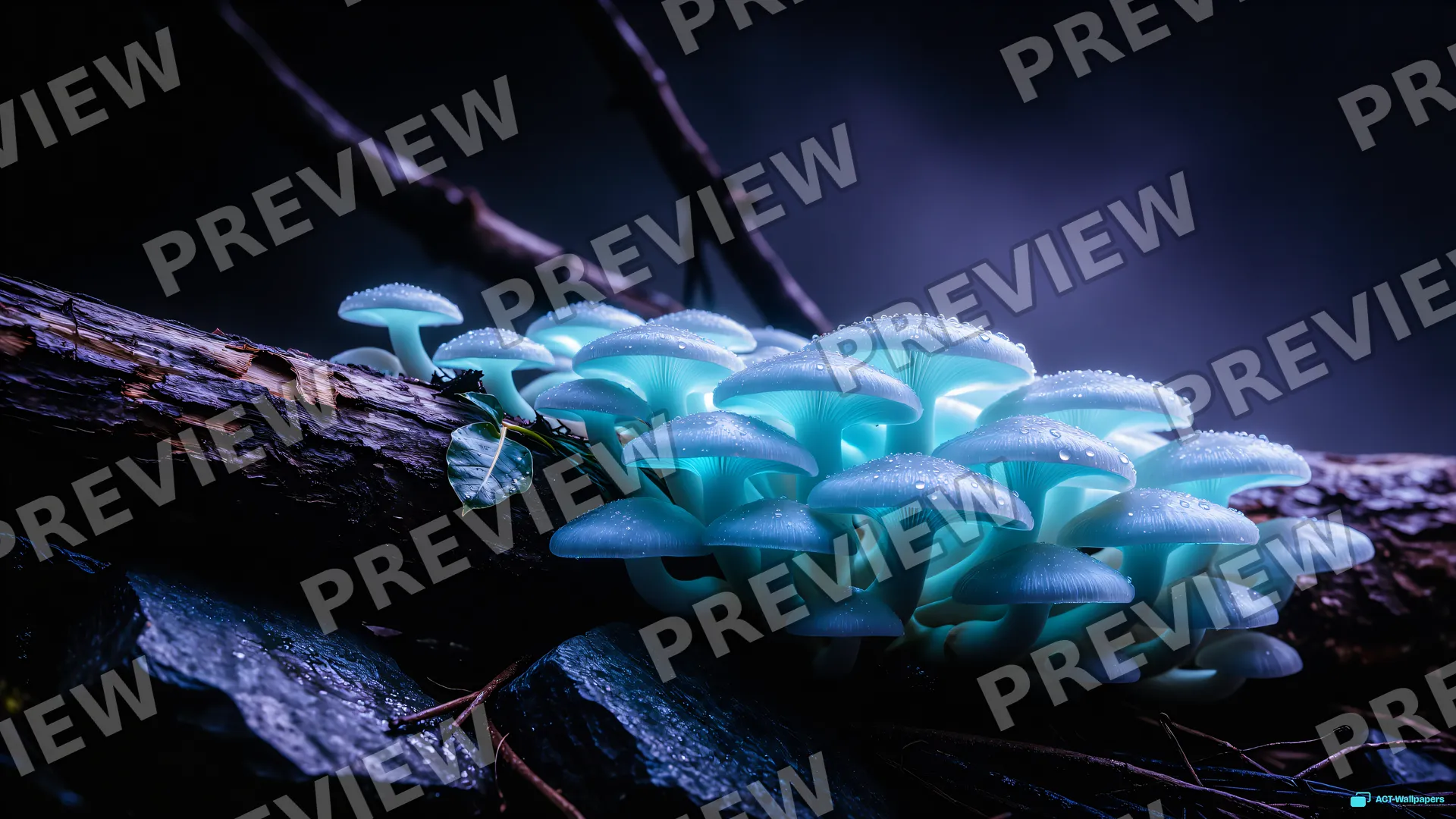 Bioluminescent Forest Hollow — Bioluminescence 4K wallpaper