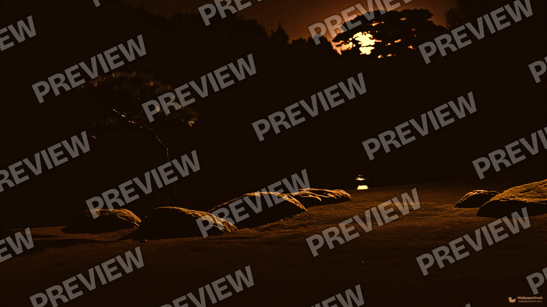 Midnight Pine Shadow — Japanese aesthetic 4K wallpaper