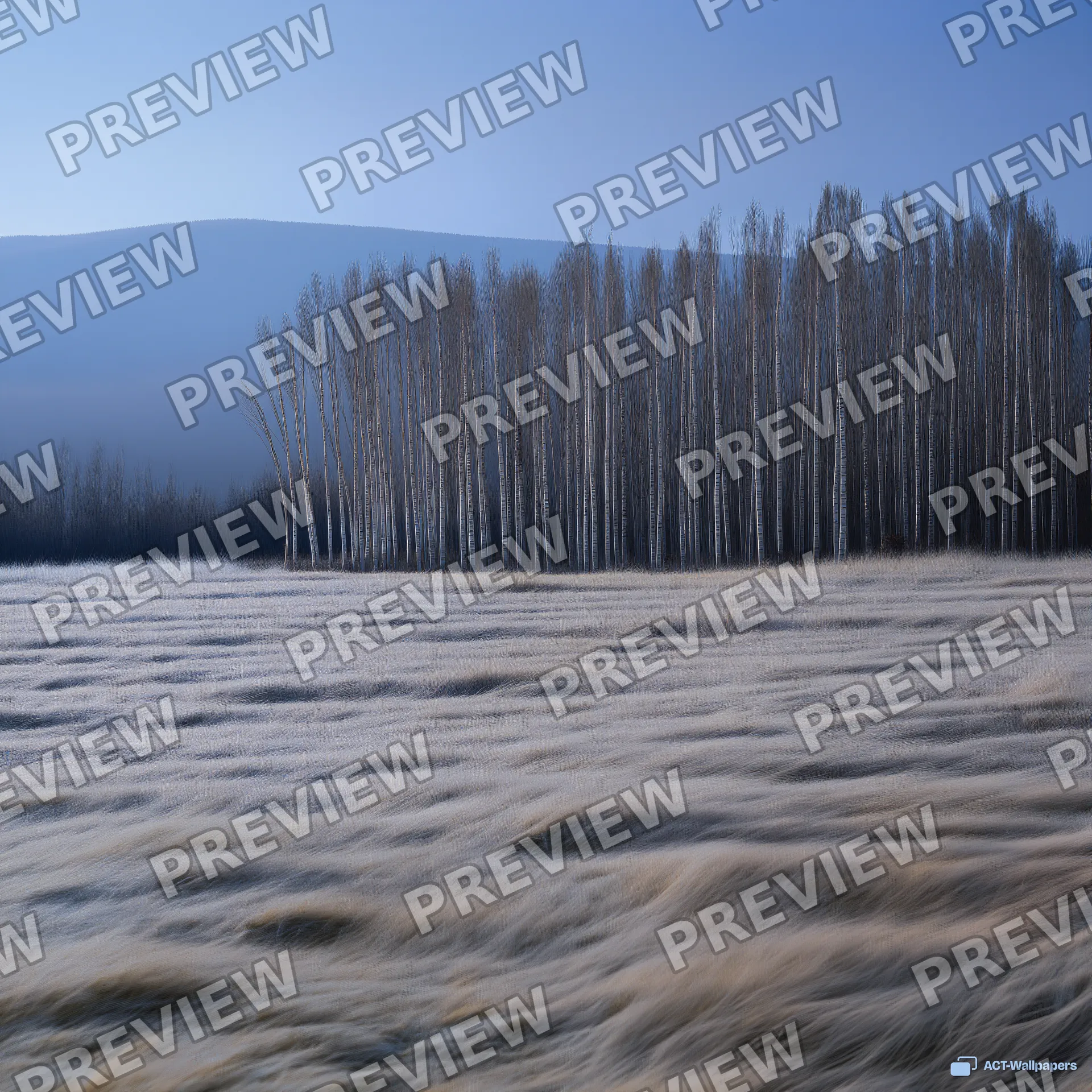 Winter Bone Slate — Seasonal palette 4K wallpaper